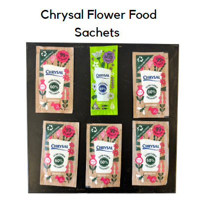 flower food care instructions chrysal