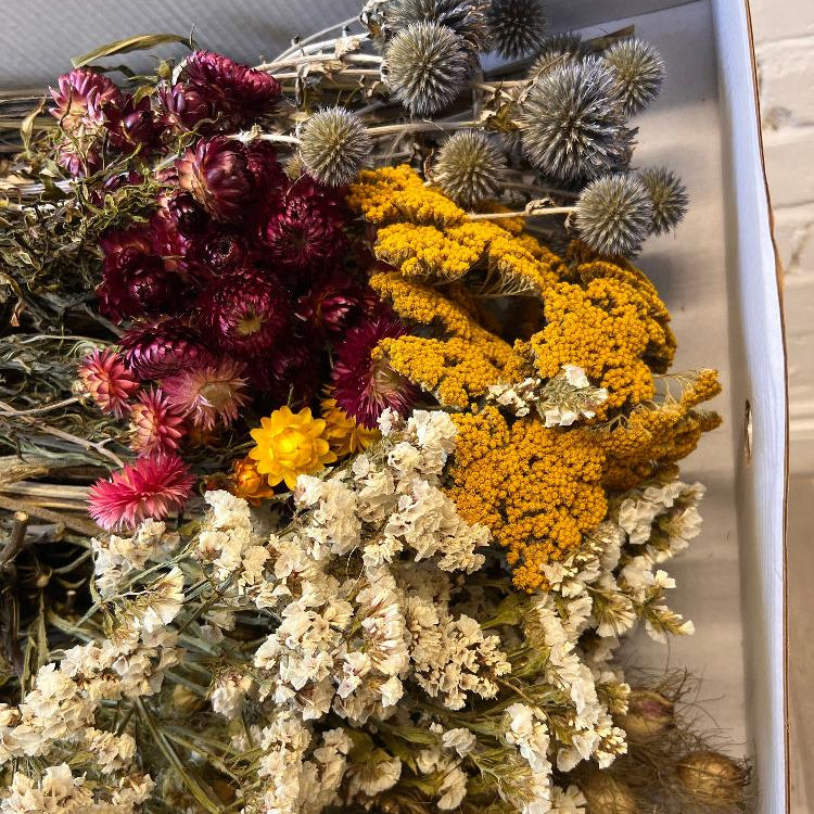 Close-up view of air-dried British flower stems showing natural textures and delicate petals.