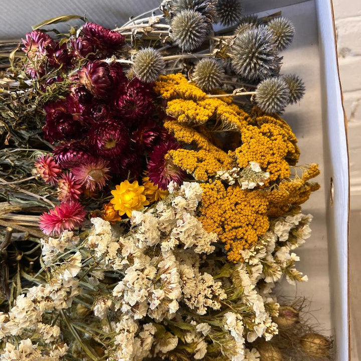 Close-up view of air-dried British flower stems showing natural textures and delicate petals.