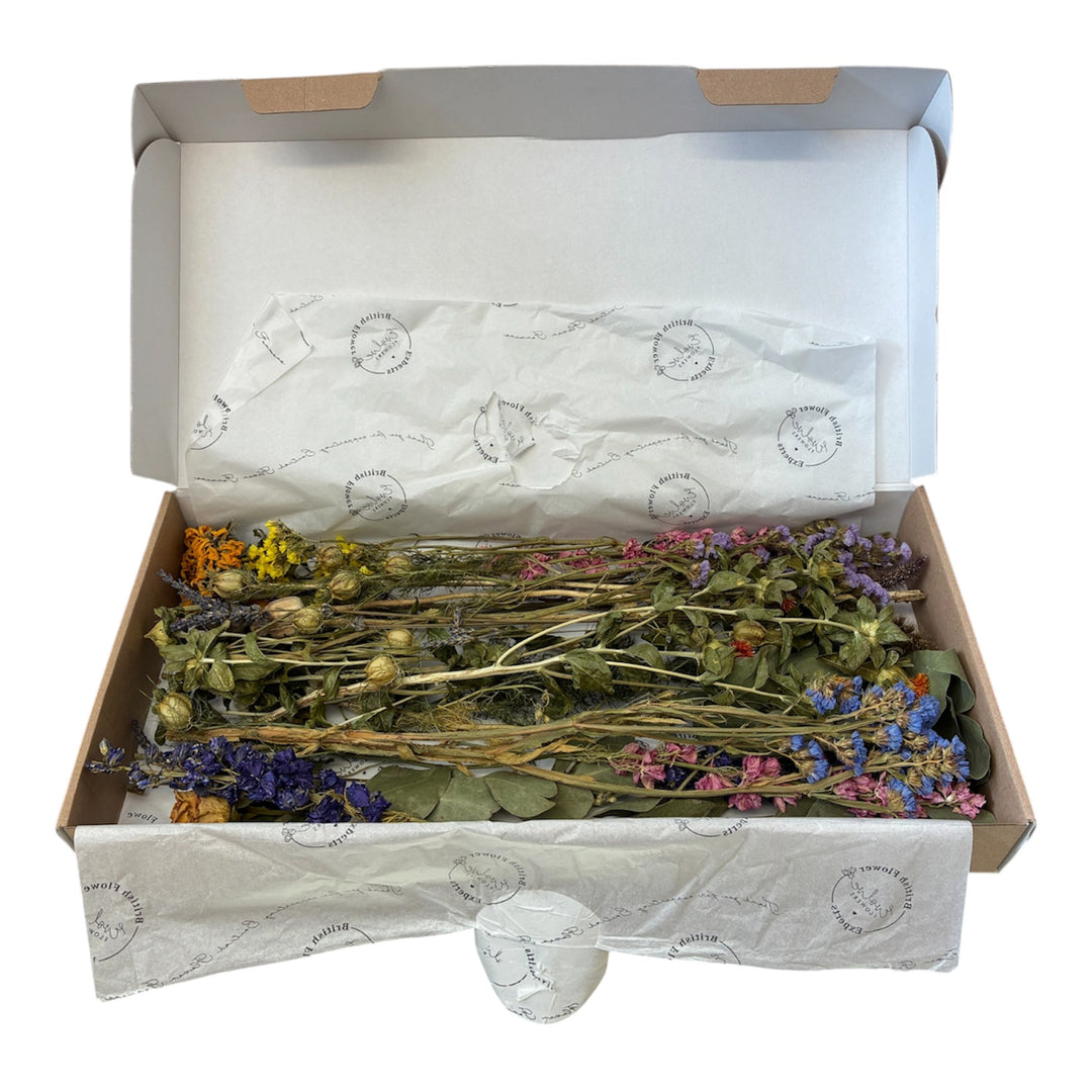 A diverse bunch of dried British flowers featuring mixed textures of Statice, Helichrysum, and dried seed heads spread flat.
