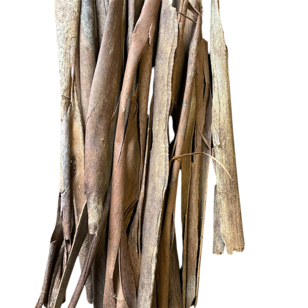 Close-up photograph highlighting the fibrous grain, warm terracotta tones, and peeling edges of dried eucalyptus bark.