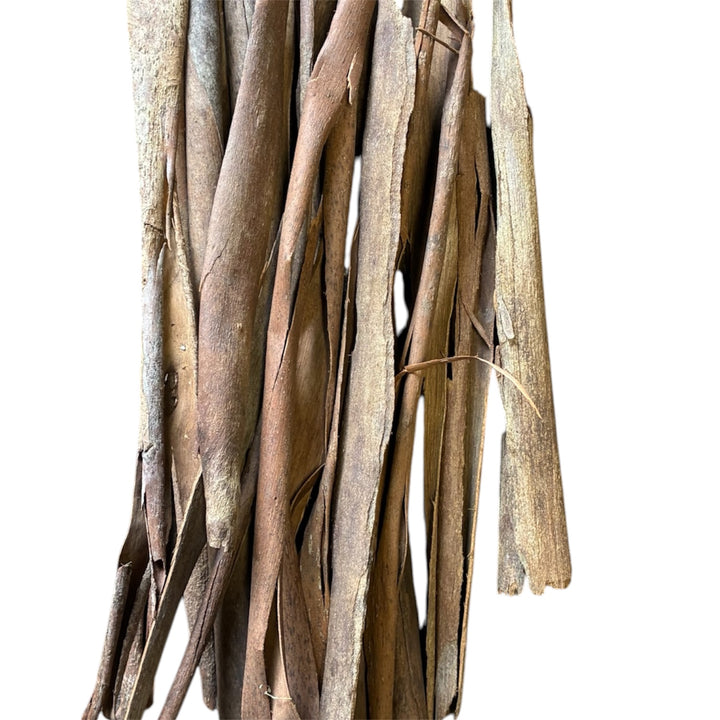 Close-up photograph highlighting the fibrous grain, warm terracotta tones, and peeling edges of dried eucalyptus bark.