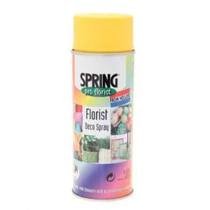 Paint - Chrome Yellow 400ml