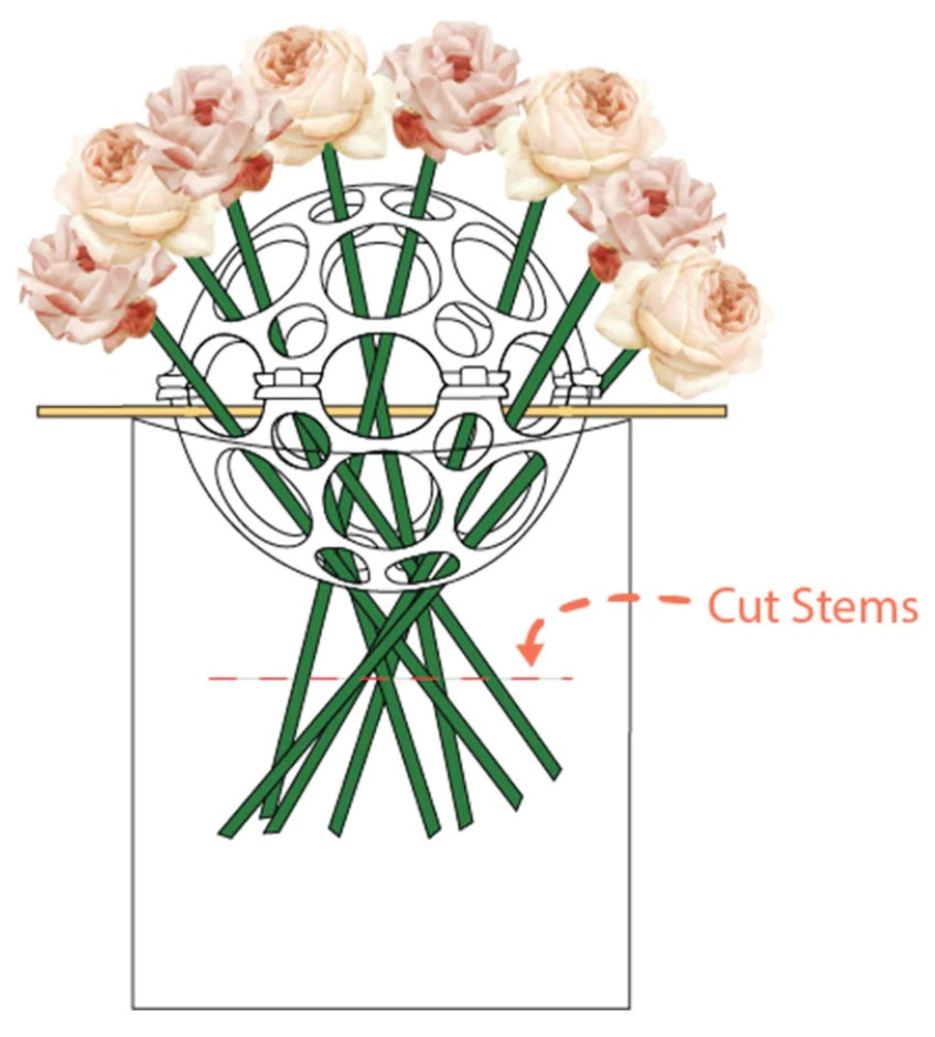 Flora Guppy Flower Arranging Kit x3