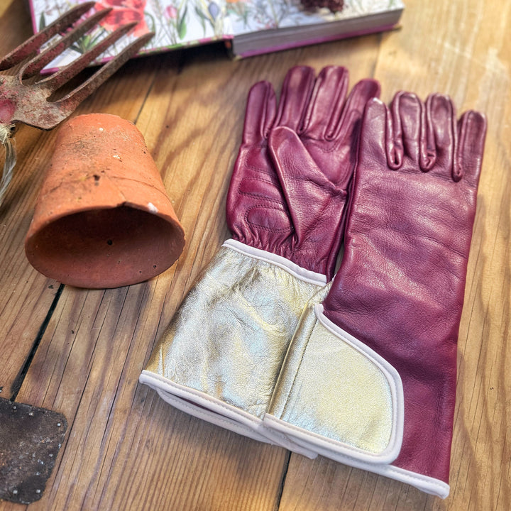Flat lay shot of the Carol MidiGaunt claret leather gardening gloves displayed on a wooden table with a terracotta pot and garden hand tools.