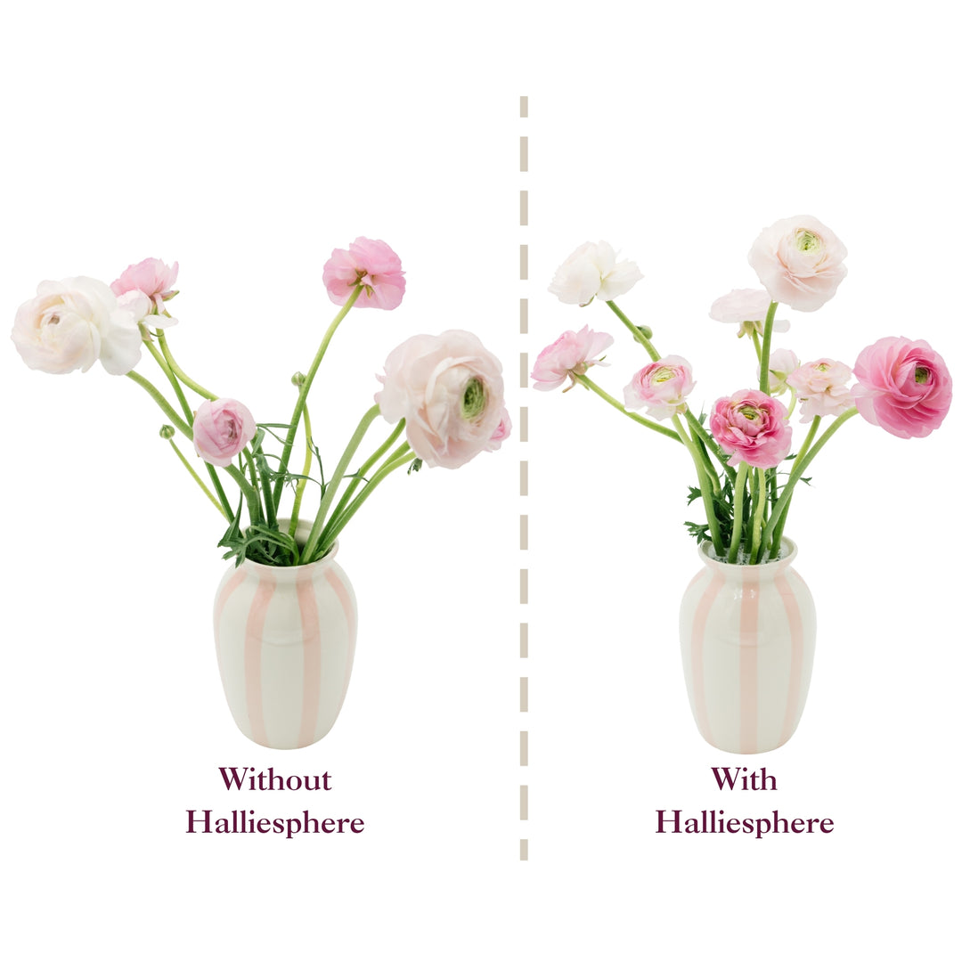 Side-by-side comparison showing pink ranunculus in a vase without Halliesphere versus structured, full stems with Halliesphere.