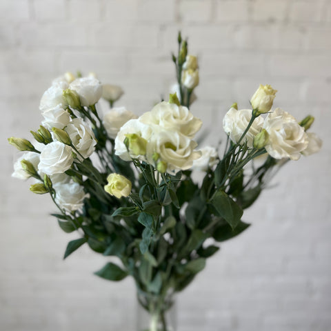 Lisianthus - White - 10 Stems