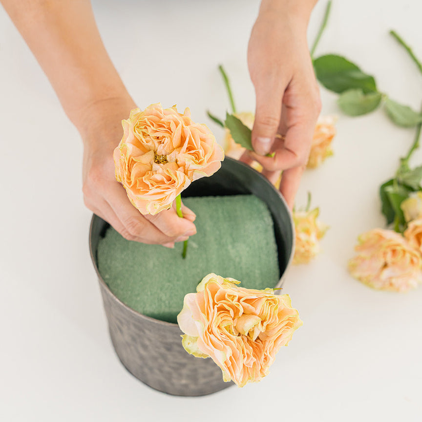 Compostable Floral Foam Blocks by Phoam Labs- Standard 22cm - (3 or 12 blocks) - INCL. DELIVERY