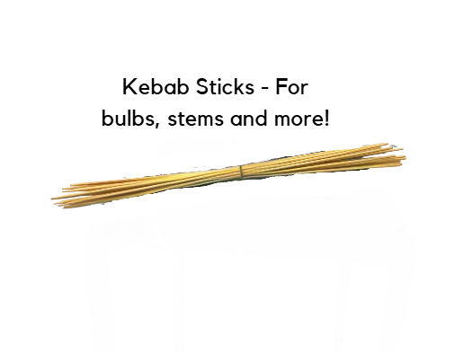kebab sticks for florists online