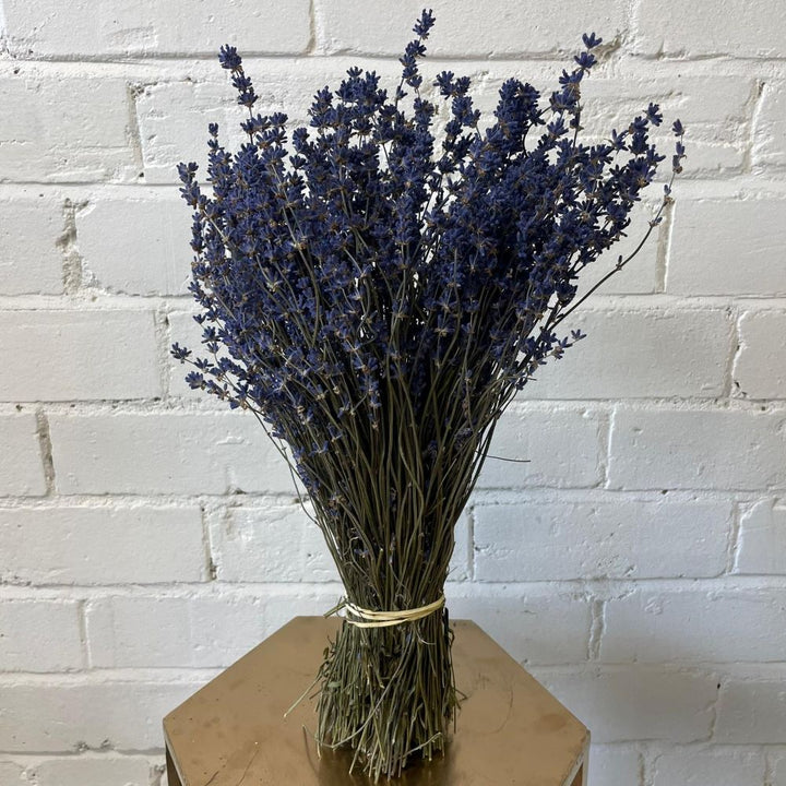 DRIED - Lavender Bunches