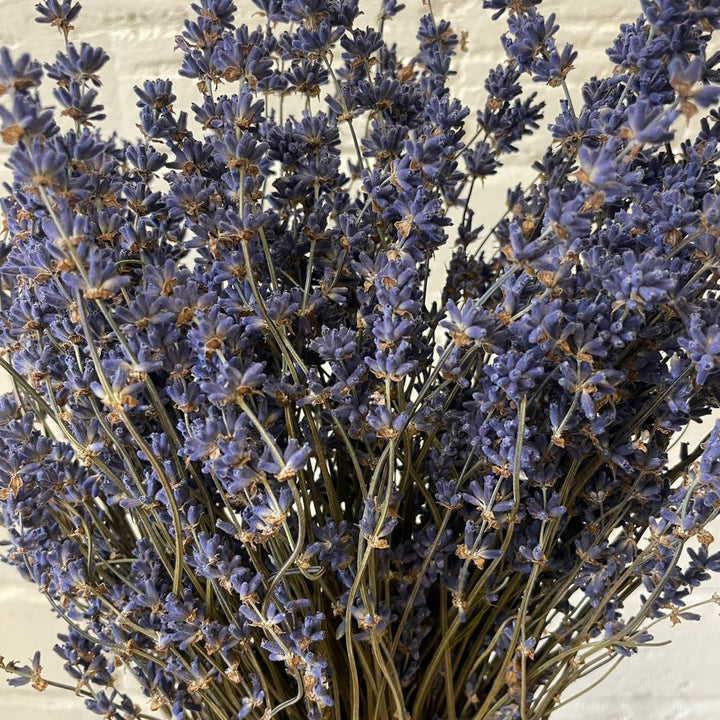 DRIED - Lavender Bunches