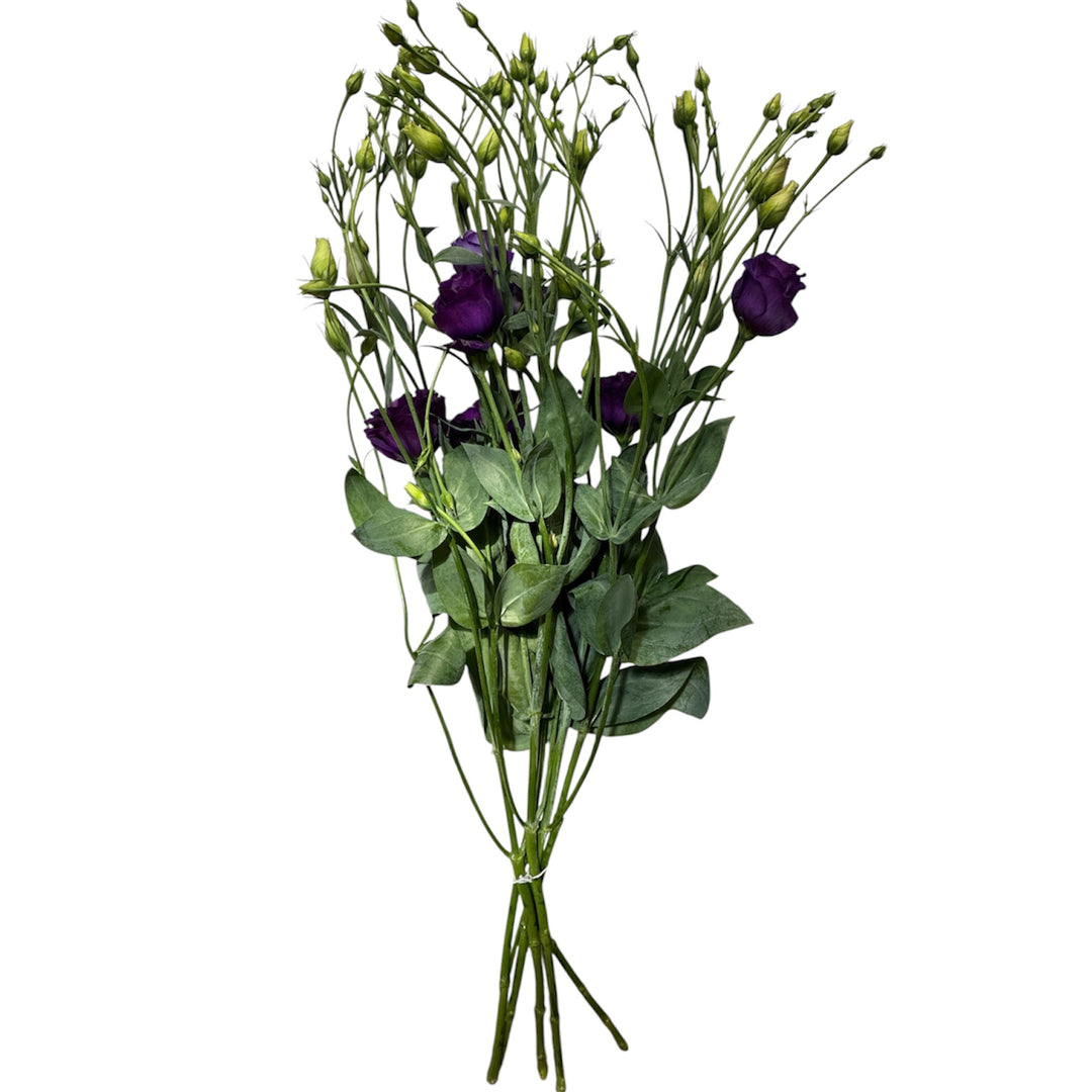 Fresh bunch of 5 hydroponically grown deep purple Lisianthus stems from Lincolnshire with green foliage and closed buds.