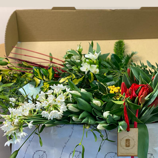 Box of British Flowers + Complimentary Flora Guppy