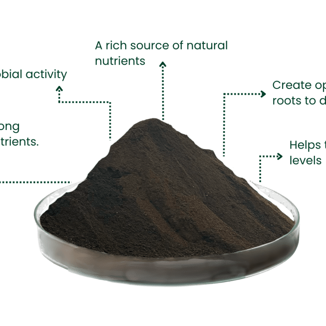 Infographic diagram of dark peat-free compost highlighting key benefits: natural nutrients, microbial activity, root structure, and moisture retention.