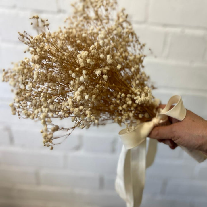 A hand holding a generous bunch of natural preserved British Gypsophila tied elegantly with a bridal white ribbon, demonstrating the size and scale for wedding work.