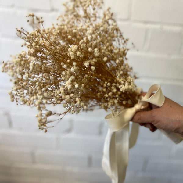 A hand holding a generous bunch of natural preserved British Gypsophila tied elegantly with a bridal white ribbon, demonstrating the size and scale for wedding work.
