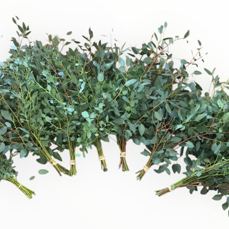 lincolnshire eucalyptus florist