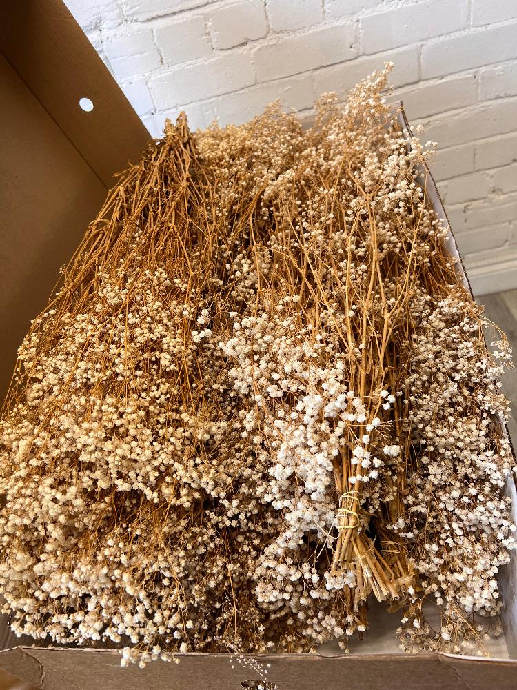 An open wholesale bulk box packed tightly with 25 premium bunches of preserved natural Gypsophila, ready for wedding installations.