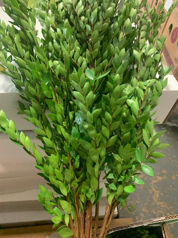 IMPORT - Myrtle Foliage  *Scented*  250gm