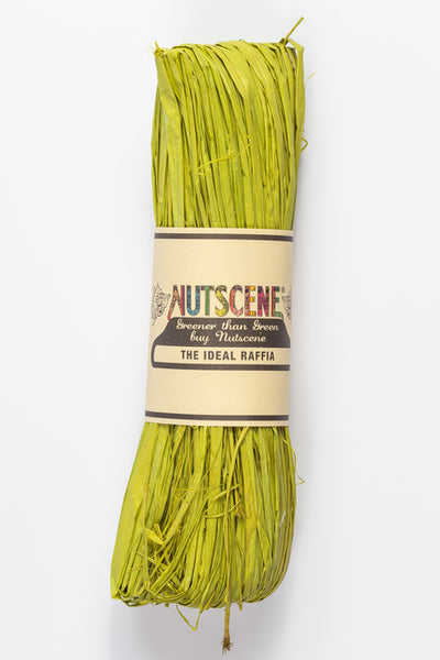 Nutscene Raffia Hanks - Rainbow Fun!