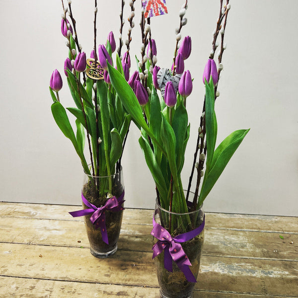 10 purple tulip bulbs, UK-grown in Norfolk, sustainably grown, ideal for displays, Kokedama, and creative floral arrangements