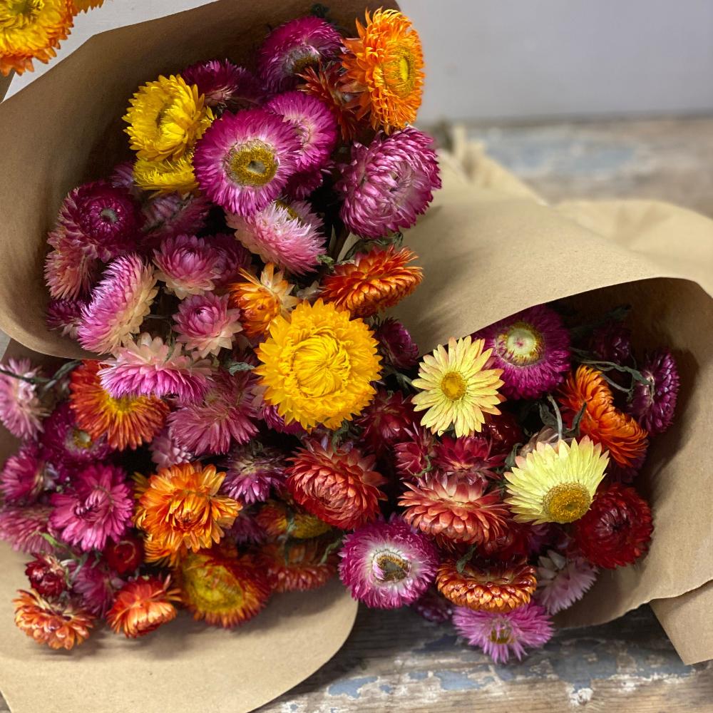 sustainable flowers