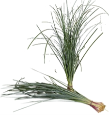 uk florist import bear grass online