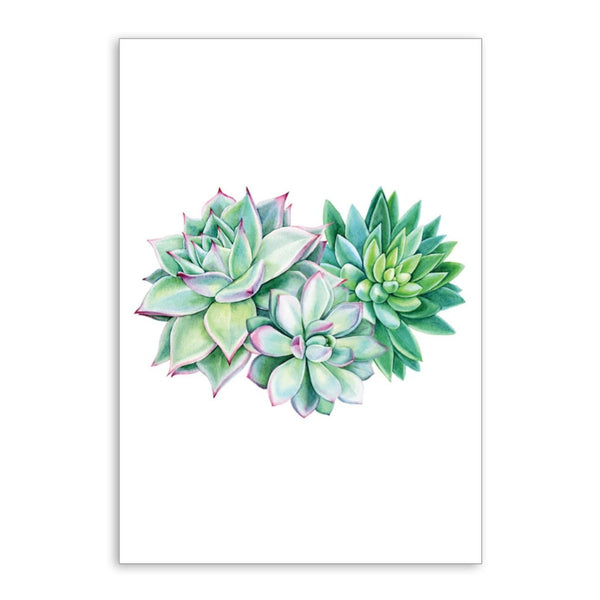 succulent unqiue greetings cards 