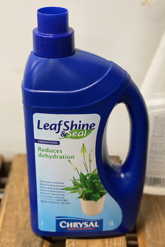 leaf shine chrysal