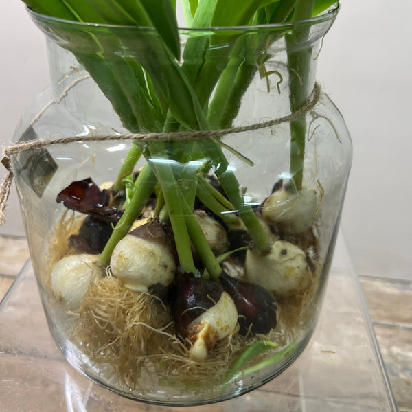 Norfolk-grown purple tulip bulbs, 10 bulbs, sustainable and long-lasting, perfect for eco-friendly UK-grown floral creations