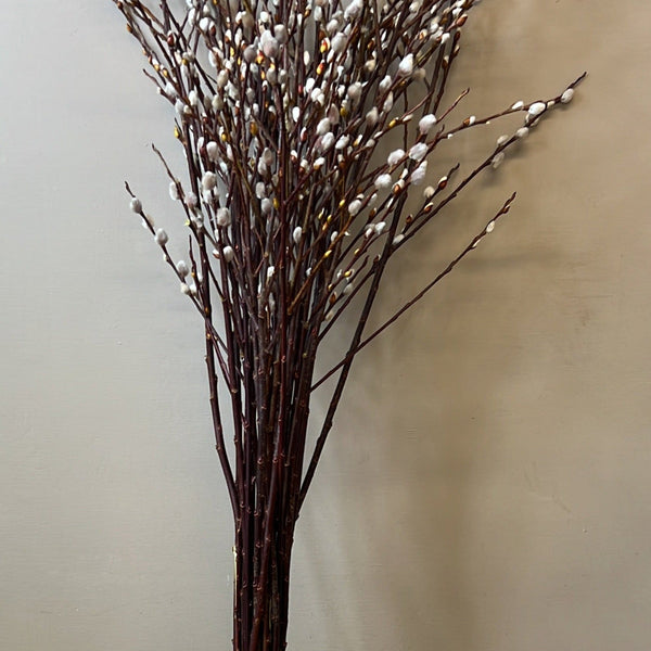 Lincolnshire-grown willow bulk box, 100 stems of pussy willow and mixed wobbly willow, sustainable UK wholesale