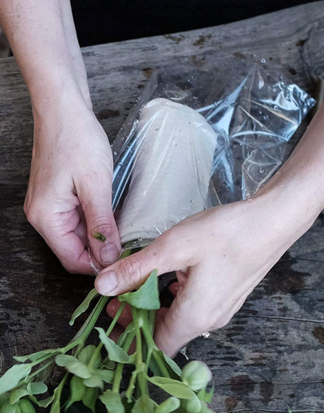 Eco Fresh Wrap Large - Box 1x200