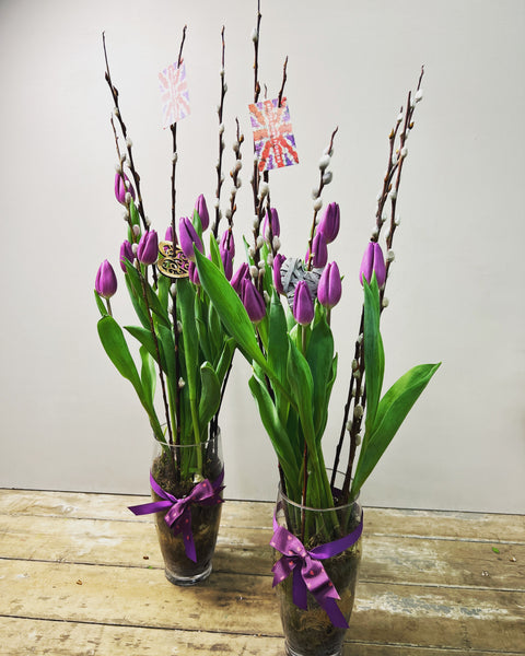 Tulip - ON THE BULB -Purple Crystal Fringed Bundle of 20 Bulbs