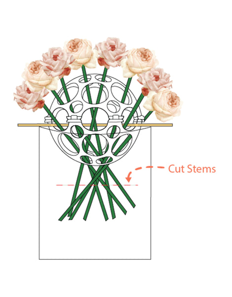 Flkora Guppy diagram