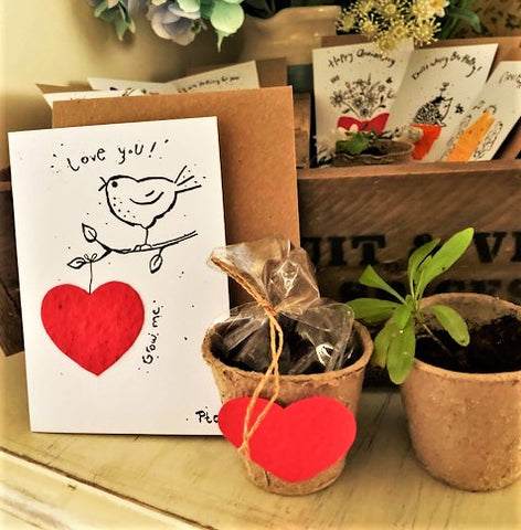 Cards Large Folded - Grow Me Silly Seeds - Pack of 12 cards