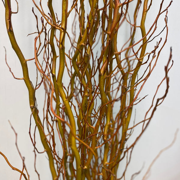 UK grown willow stems in bulk, mixed selection of pussy and wobbly willow, Lincolnshire wholesale box