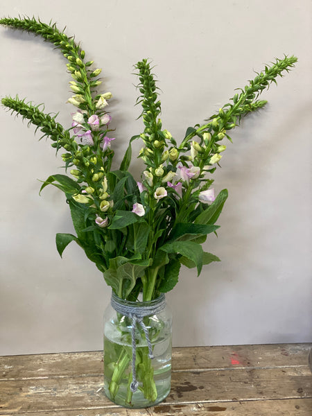 British Grown Foxgloves x 5 stems
