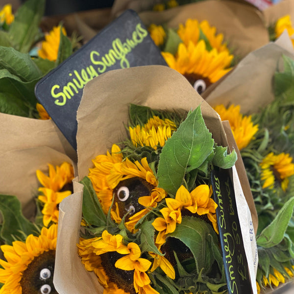 Sunflowers - 10 stems