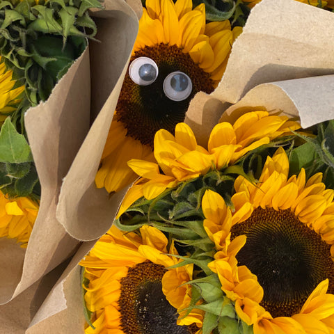 Sunflowers - 10 stems