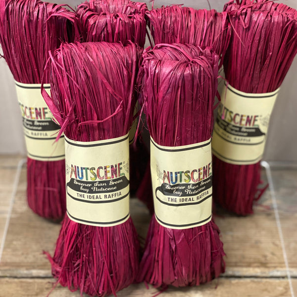 Nutscene Raffia Hanks - Rainbow Fun!