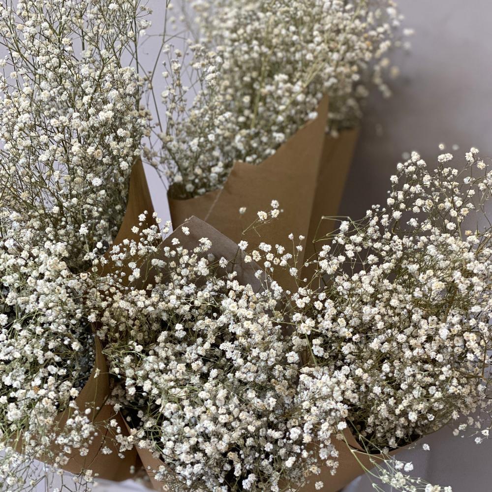 blooms white UK