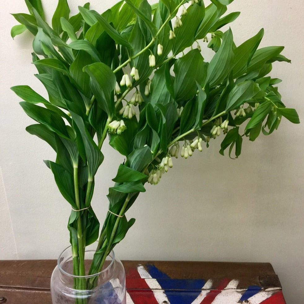 UK wild like flowers online wholesale
