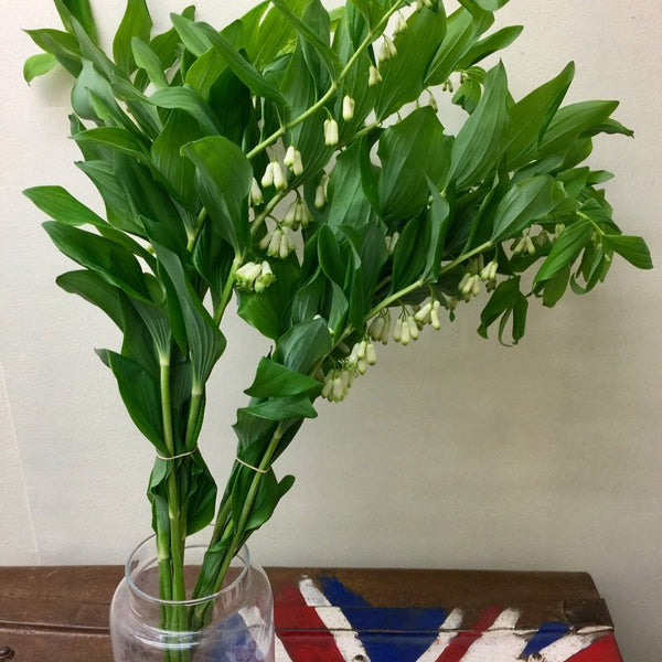 UK wild like flowers online wholesale
