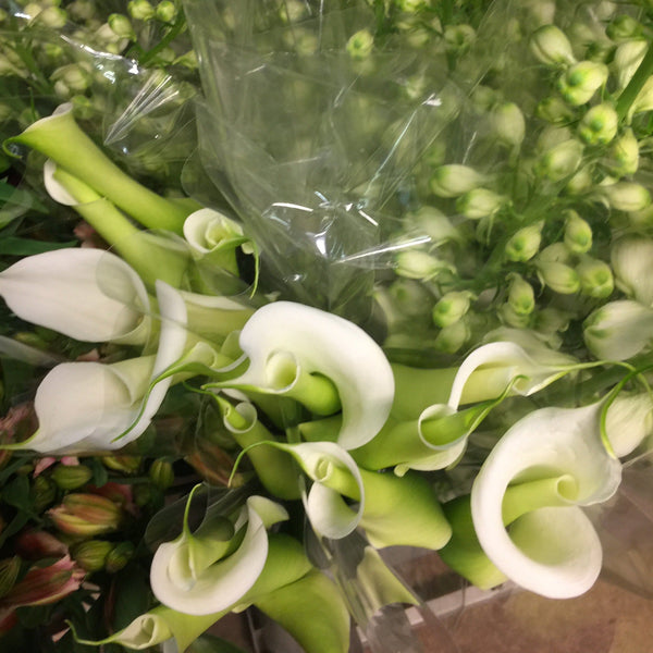 white british flowers UK lily calla