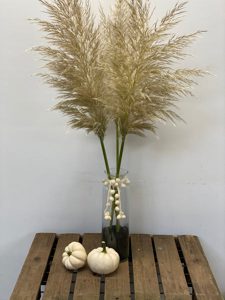Pampas Grass - PER STEM