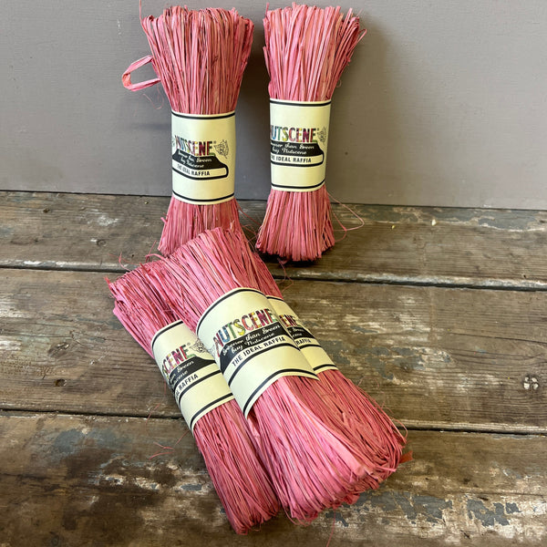 Nutscene Raffia Hanks - Rainbow Fun!