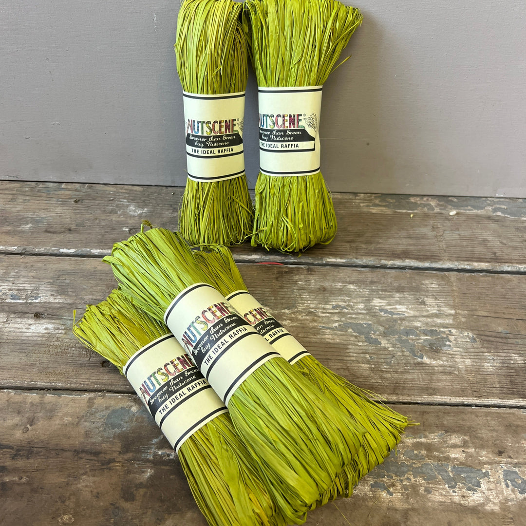Nutscene Raffia Hanks - Rainbow Fun!