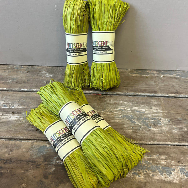 Nutscene Raffia Hanks - Rainbow Fun!