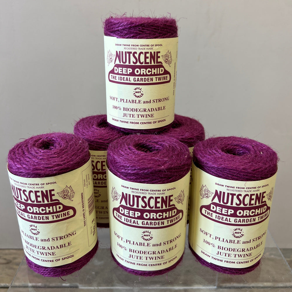 purple twine online