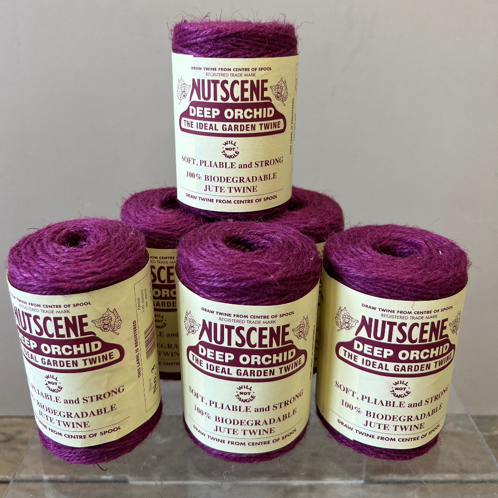 orchid florist jute online